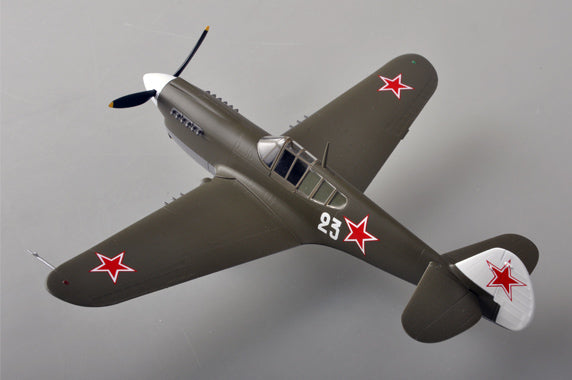 prebuilt 1/48 scale P-40 Warhawk aircraft model 39314