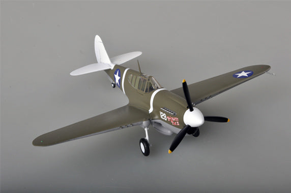 prebuilt 1/48 scale P-40 Warhawk aircraft model 39311