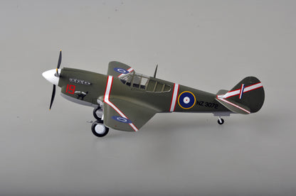 prebuilt 1/48 scale P-40 Warhawk aircraft model 39315