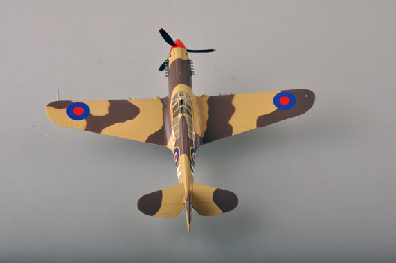 prebuilt 1/48 scale P-40 Warhawk aircraft model 39312