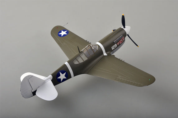 prebuilt 1/48 scale P-40 Warhawk aircraft model 39311