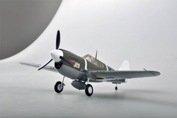 prebuilt 1/48 scale P-40 Warhawk aircraft model 39311